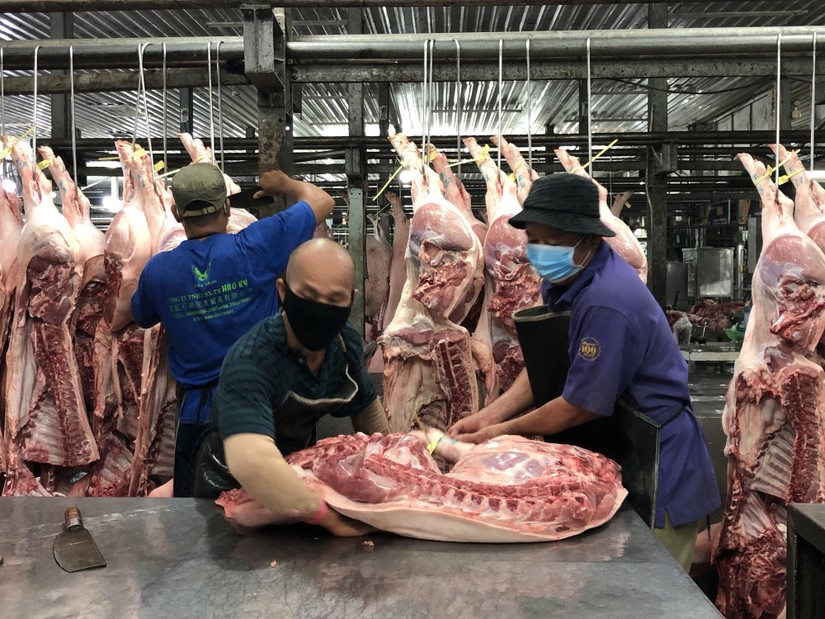 Gi&aacute; lợn hơi chỉ dao động từ 49.000 - 55.000/kg.