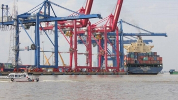 Nhóm doanh nghiệp logistics phản ánh bất cập tại Cục Hải quan TP HCM