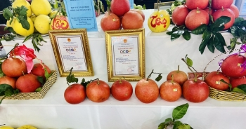 Nhộn nhịp Festival sản phẩm nông nghiệp và làng nghề Hà Nội lần thứ hai
