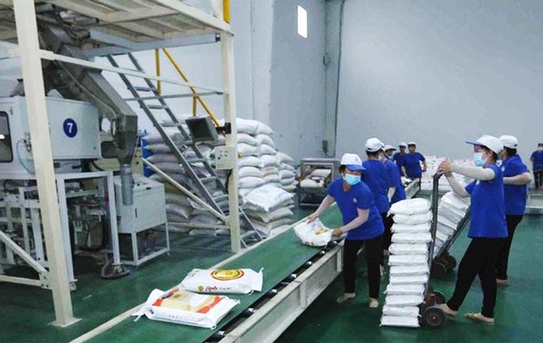 C&aacute;c Trang Nhà Cái 555win.com - Đăng Nhập +555k gạo Việt Nam đ&atilde; n&acirc;ng cao chất lượng sản phẩm, chiếm lĩnh được nhiều thị trường lớn.