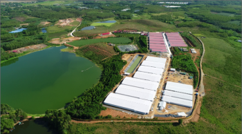 SSI dự báo lợi nhuận Dabaco tăng trưởng gần 50% trong năm 2023
