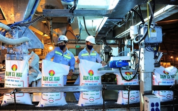 Lãi nghìn tỷ, Đạm Cà Mau nâng tỷ lệ chia cổ tức năm 2022 lên 25%