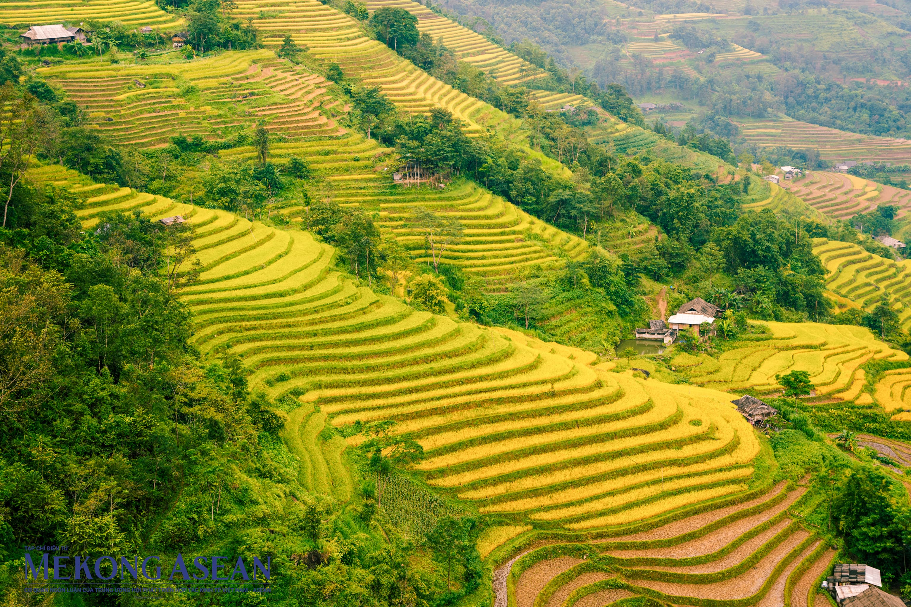 Thương nhớ mảnh đất 'đá nở hoa' Hà Giang