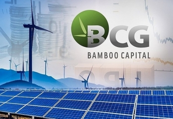 Chưa thể phát hành báo cáo tài chính, Bamboo Capital giải trình lý do
