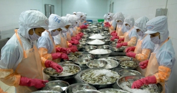 Các 'ông lớn' ngành tôm được dự báo tăng doanh thu năm 2024